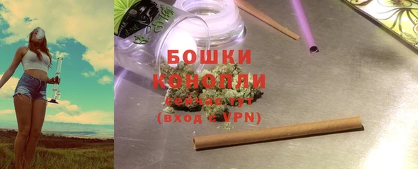 2c-b Рославль