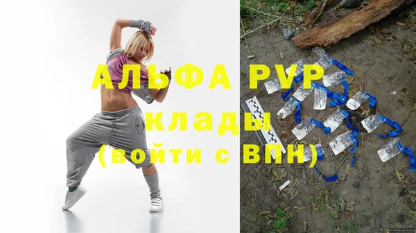 индика Ростов