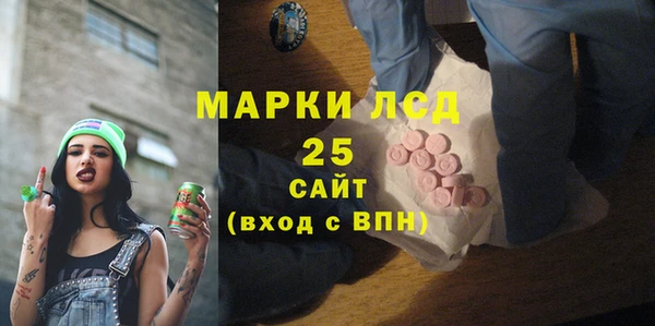 индика Ростов