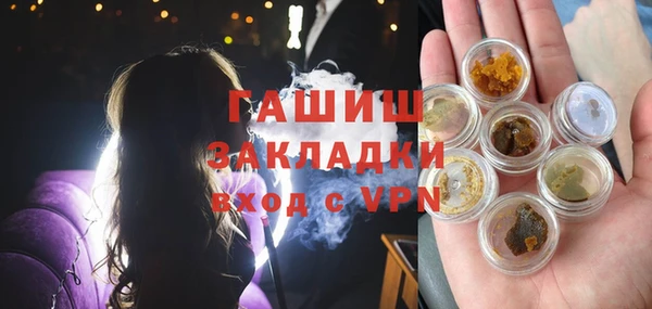 индика Ростов