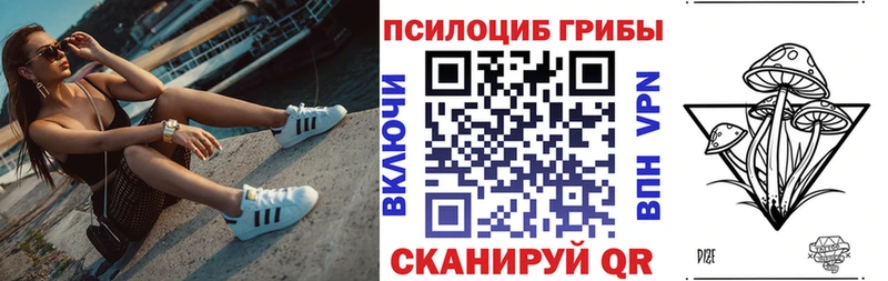 Галлюциногенные грибы прущие грибы  Зубцов 